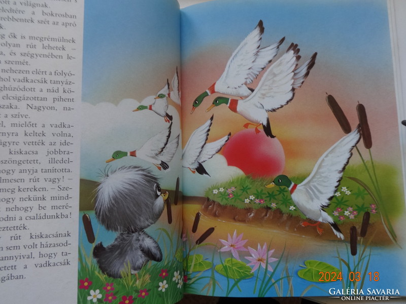 Andersen: the ugly duckling - storybook with drawings by Kennedy