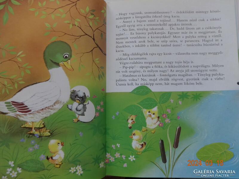 Andersen: the ugly duckling - storybook with drawings by Kennedy