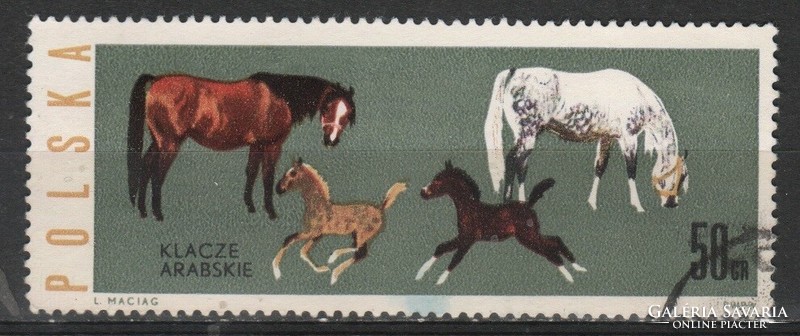 Horses 0060 €0.30