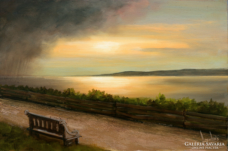 Special price! Lute pearl: rain on the balaton 20x30cm