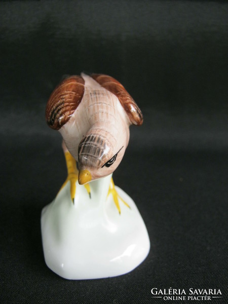 Aquincumi porcelán madár sas vagy sólyom