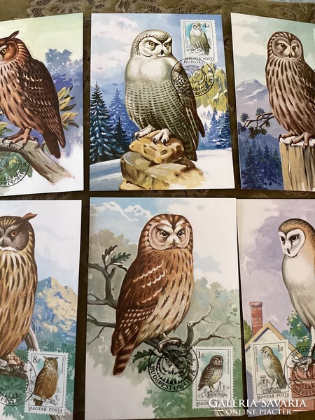 Stamp collectors! Owls on a sheet of paper with a series of stamps and stamps