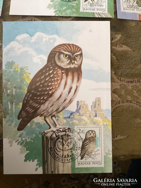 Stamp collectors! Owls on a sheet of paper with a series of stamps and stamps