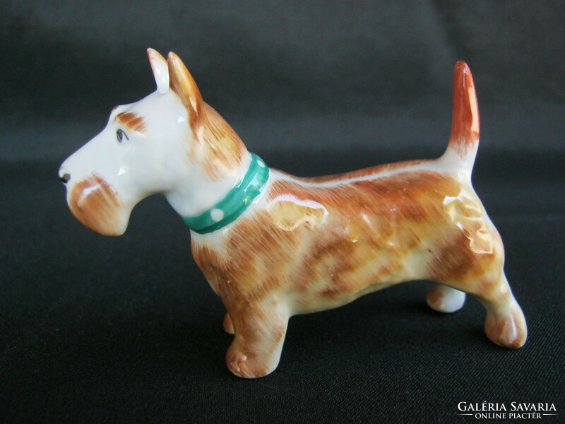 Aquincumi porcelán kutya