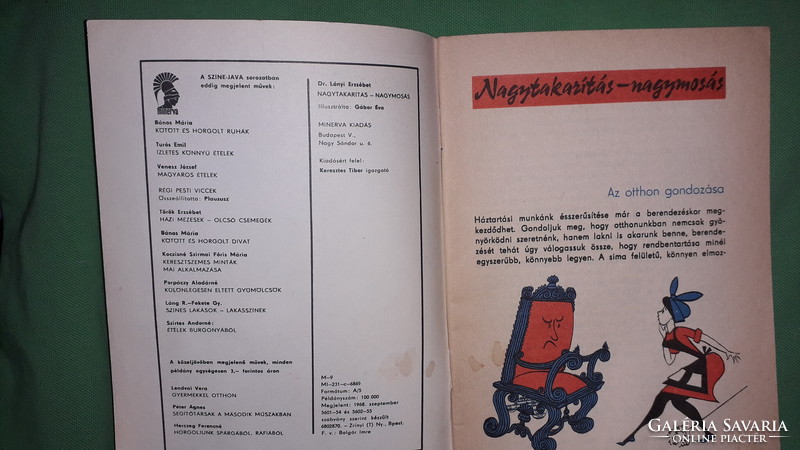 1968.Dr. Erzsébé Lányi: major cleaning - major washing - color - good booklet book minerva according to the pictures