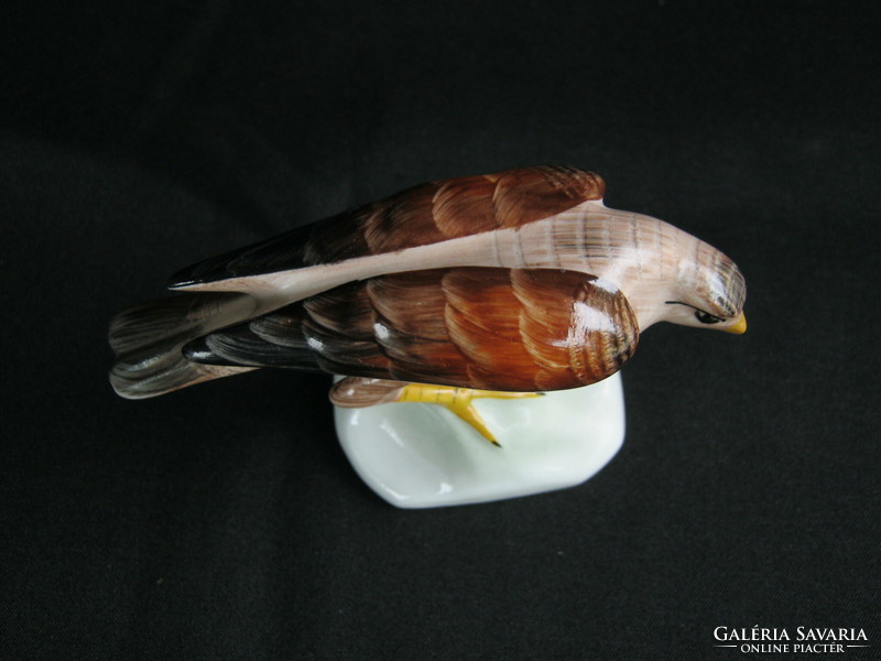 Aquincumi porcelán madár sas vagy sólyom