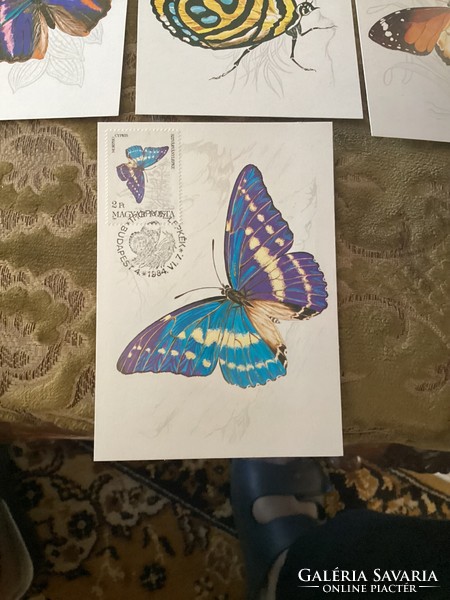 Attention stamp collectors! Tropical butterflies on postcard with stamp and stamp