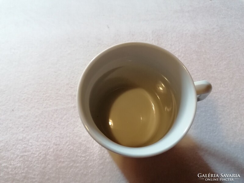 Rare Zsolnay cat serenade cup, mug.