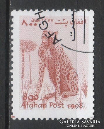 Állatok 0378 Afganisztán
