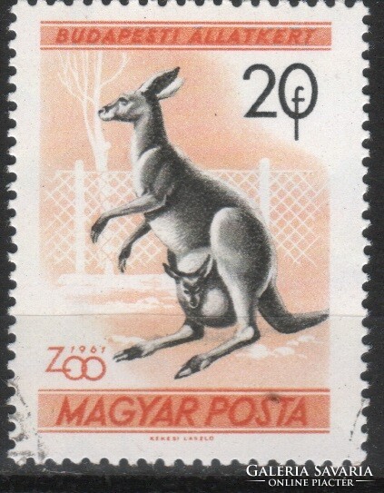 Animals 0361 Hungarian