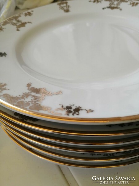 Czechoslovakian gold rimmed plate set