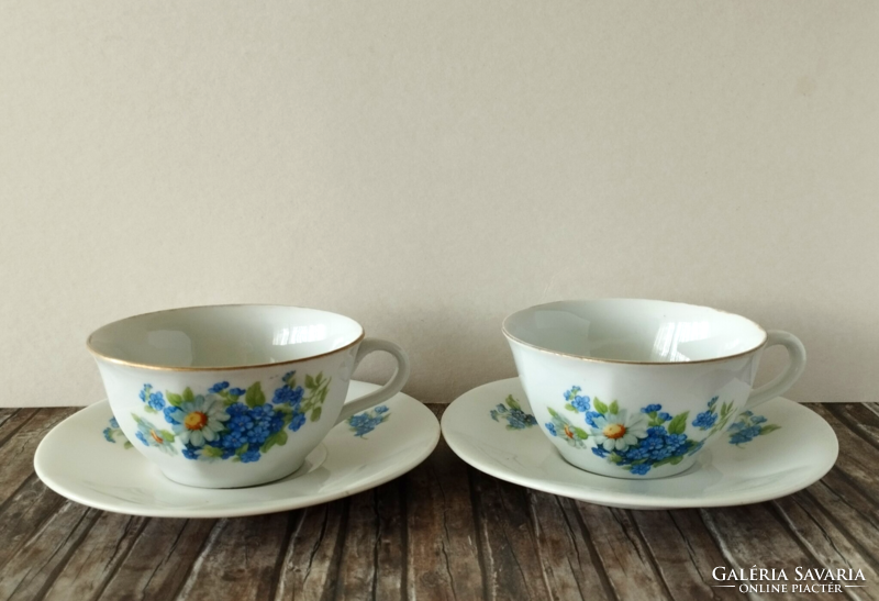 Beautiful old quarry drasche fine thin porcelain tea cup set