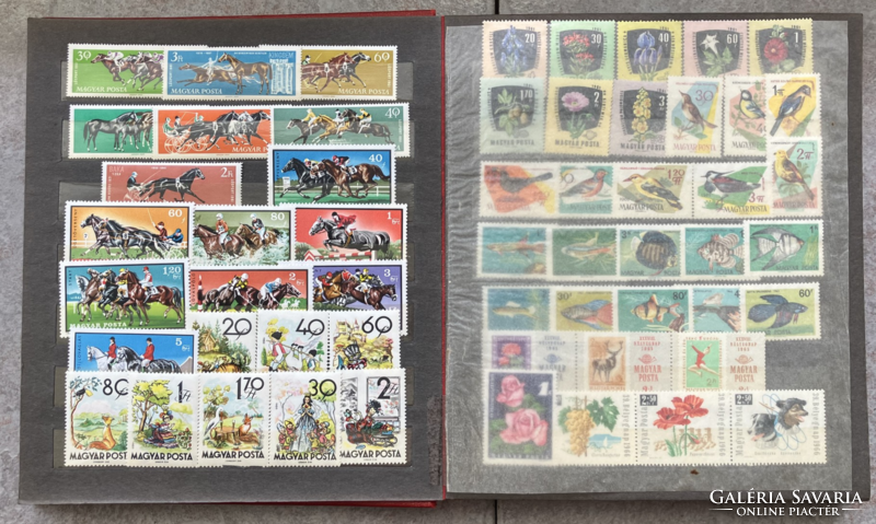 Animals and plants arranged in an album on Hungarian postage stamps