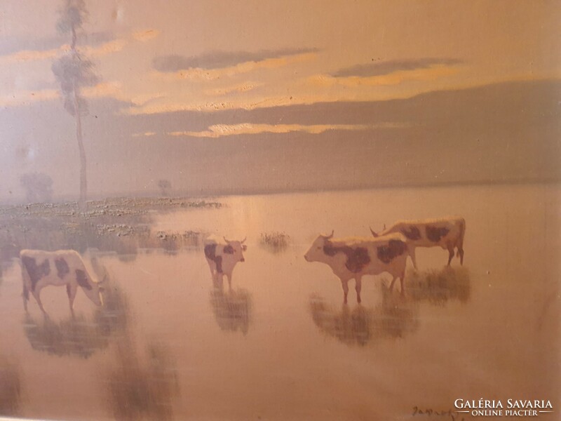 Károly Jakab: herd of cows