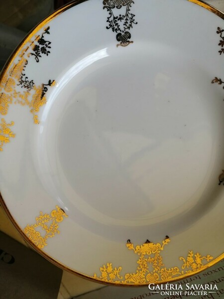 Czechoslovakian gold rimmed plate set