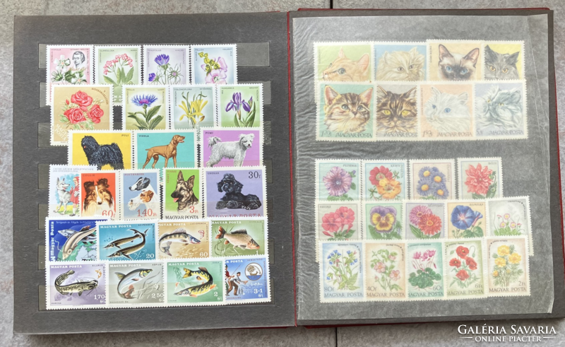 Állatok és növények magyar postatiszta bélyegeken albumba rendezve
