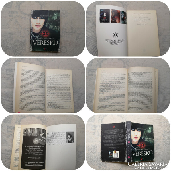 Richelle Mead - Vámpírakadémia I-VI. + Vérvonalak + A Szukkubusz dala