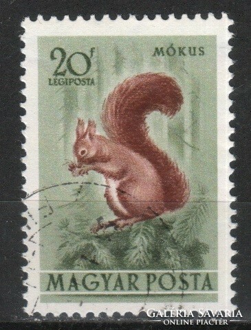 Animals 0357 Hungarian
