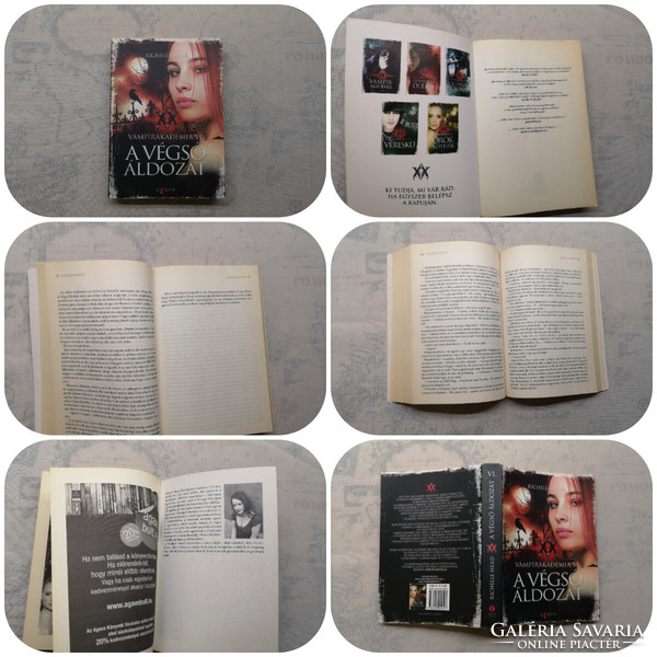 Richelle Mead - Vampire Academy i-vi. + Bloodlines + Song of the Succubus