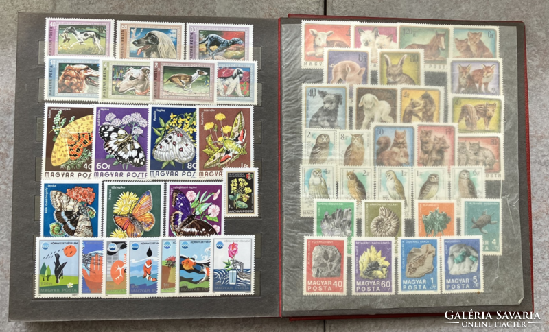 Animals and plants arranged in an album on Hungarian postage stamps