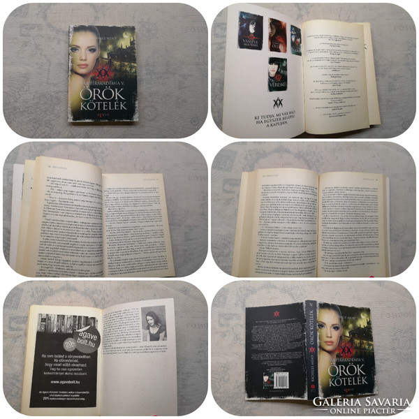 Richelle Mead - Vampire Academy i-vi. + Bloodlines + Song of the Succubus