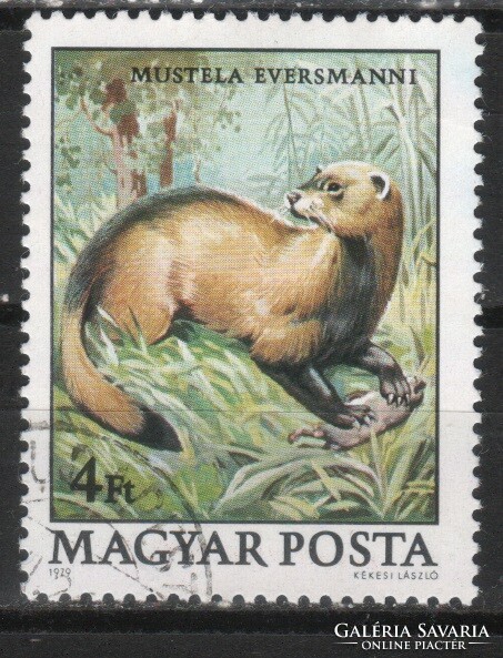 Animals 0369 Hungarian