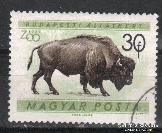 Állatok 0362 Magyar