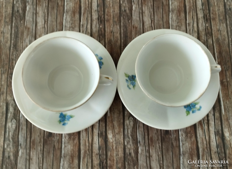 Beautiful old quarry drasche fine thin porcelain tea cup set