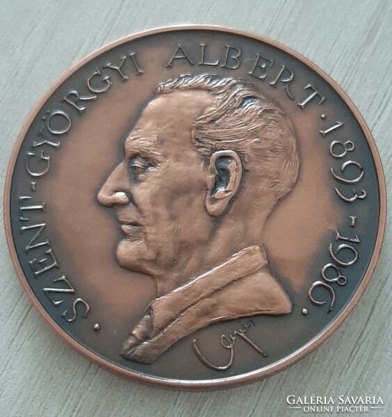 András Lapis Szent-Györgyi Albert Szeged EEG and Clinical Neurop. Congress 1991 bronze commemorative medal