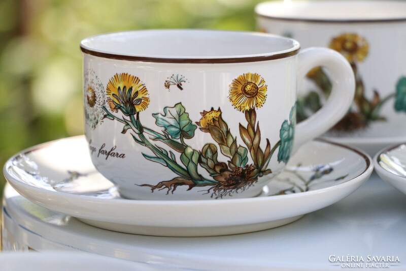 Villeroy botanica cup + saucer