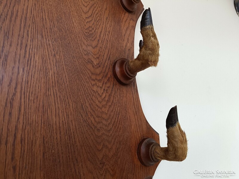 Antik vadász vadászat bútor nagy ruha akasztó fogas szarvas őz agancs trófea 781 8703
