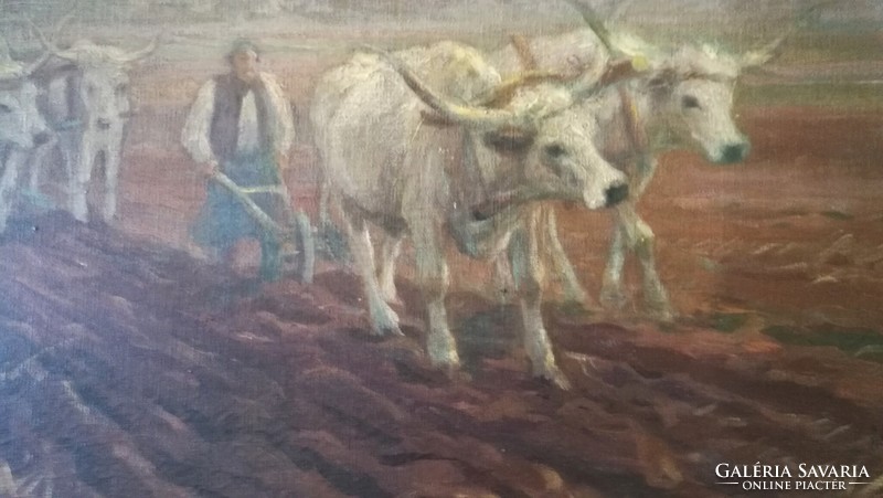 Károly Cserna, plowing - 60x80 oil, canvas