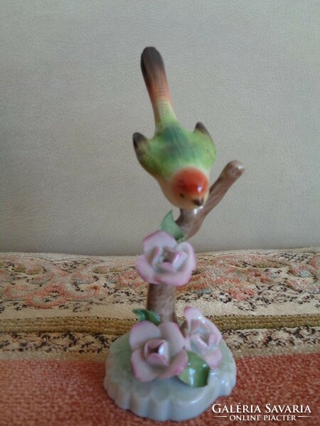 Herend parrot on a flowering branch