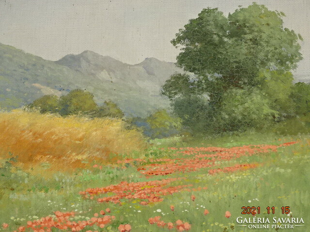 Gyula Zorkóczy (1873 - 1932): highland landscape with flowering poppies