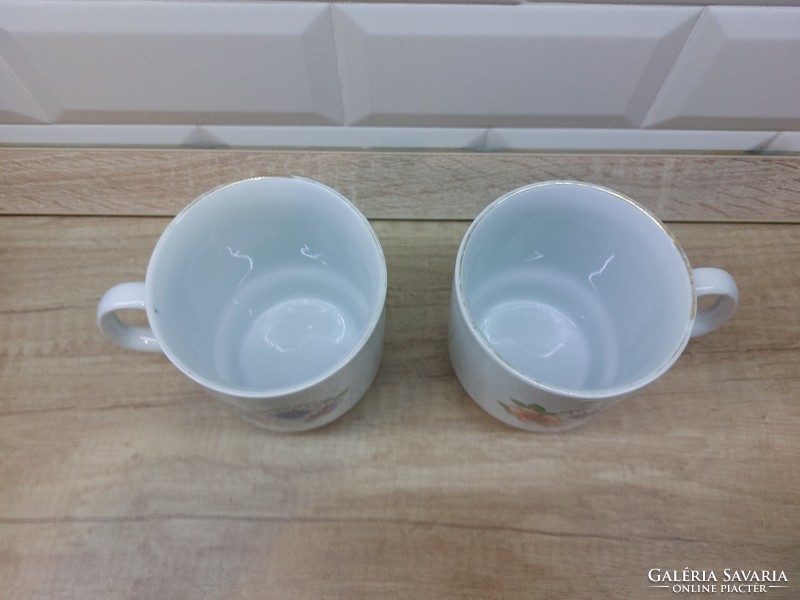 A rare pair of Alföldi porcelain mugs