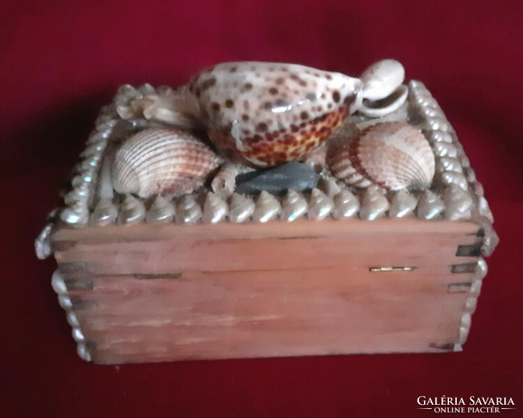 Shell-shaped, snailed wooden box, gift box. 16 X 11 cm