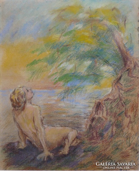 Géza Rónai: nude landscape