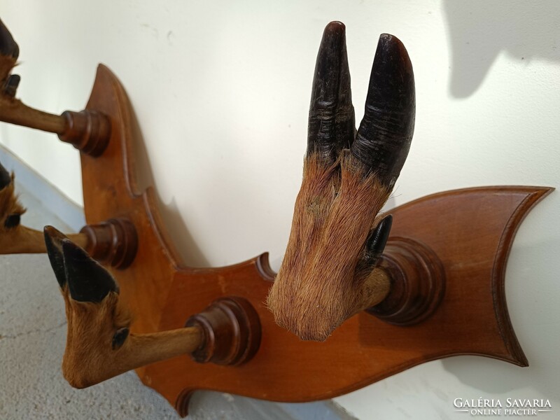 Antik vadász vadászat bútor ruha akasztó fogas szarvas trófea 813 8665