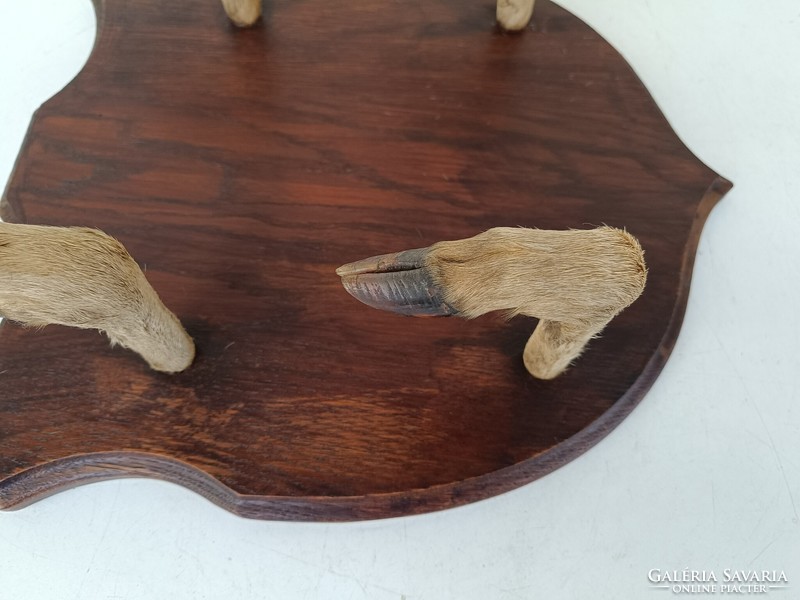 Antik vadász vadászat bútor ruha akasztó fogas szarvas őz trófea 782 8704