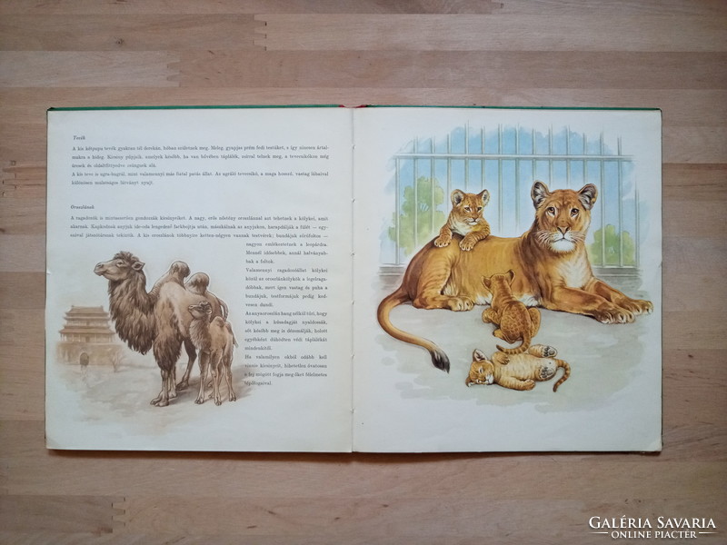 Anya és gyermeke az állatvilágban - gyönyörű rajzokkal retro