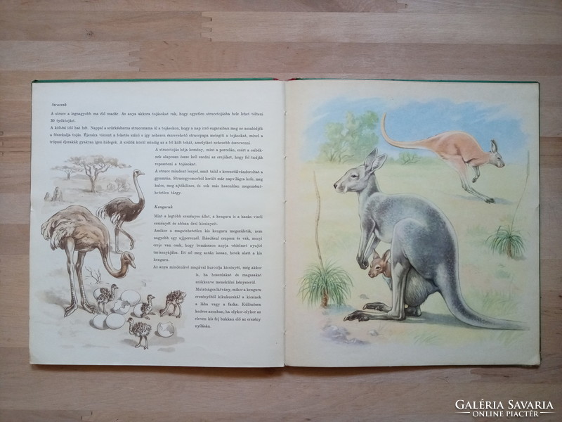 Anya és gyermeke az állatvilágban - gyönyörű rajzokkal retro