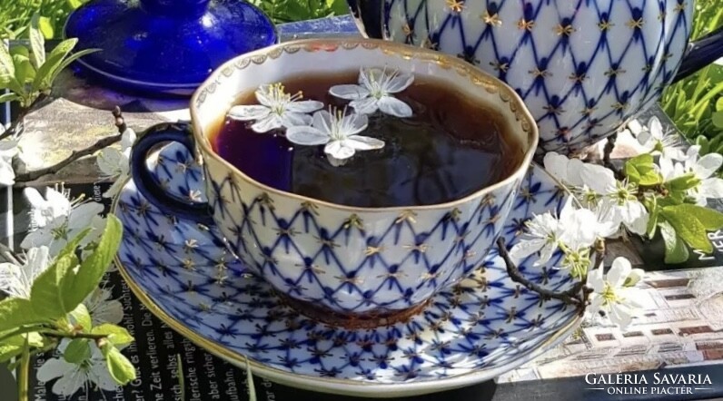 Lomonosov teacup