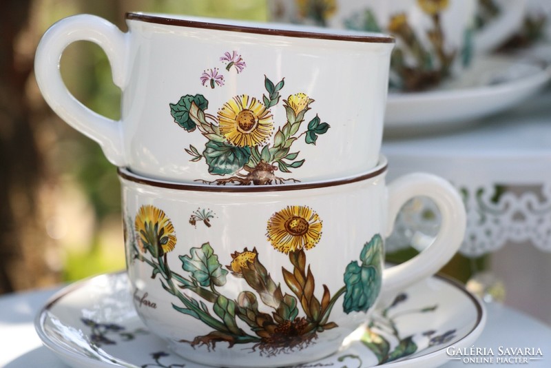 Villeroy botanica cup + saucer