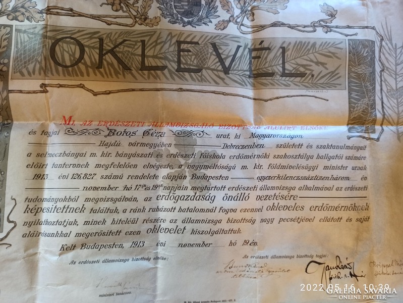 Forest engineering certificate of Géza Botos, 1913, with parchment dry seal