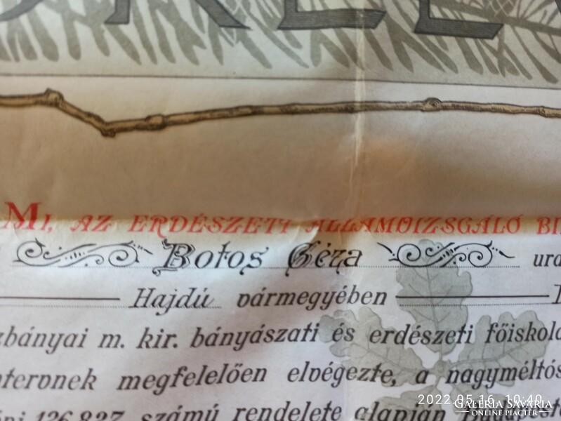 Botos Géza erdőmérnöki oklevele 1913, pergamen szárazpecséttel