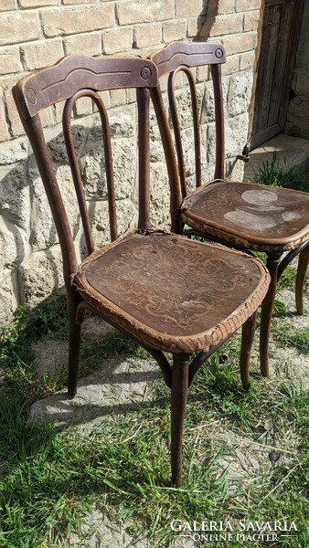 Marked thonet chairs
