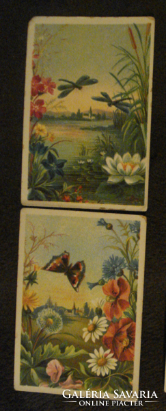 2 db Litho reklám kártya Diadal kávé Alexander Schmidl pillangók