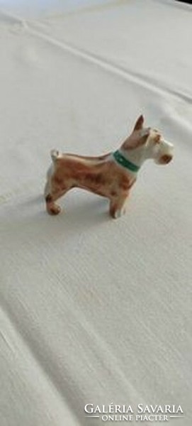 Aquincumi terrier porcelán kutya