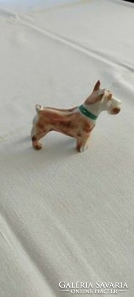 Aquincumi terrier porcelain dog