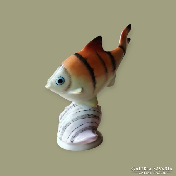 Drasche/quarry porcelain fish